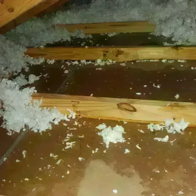 Attic Water Damage in Crescent City, FL