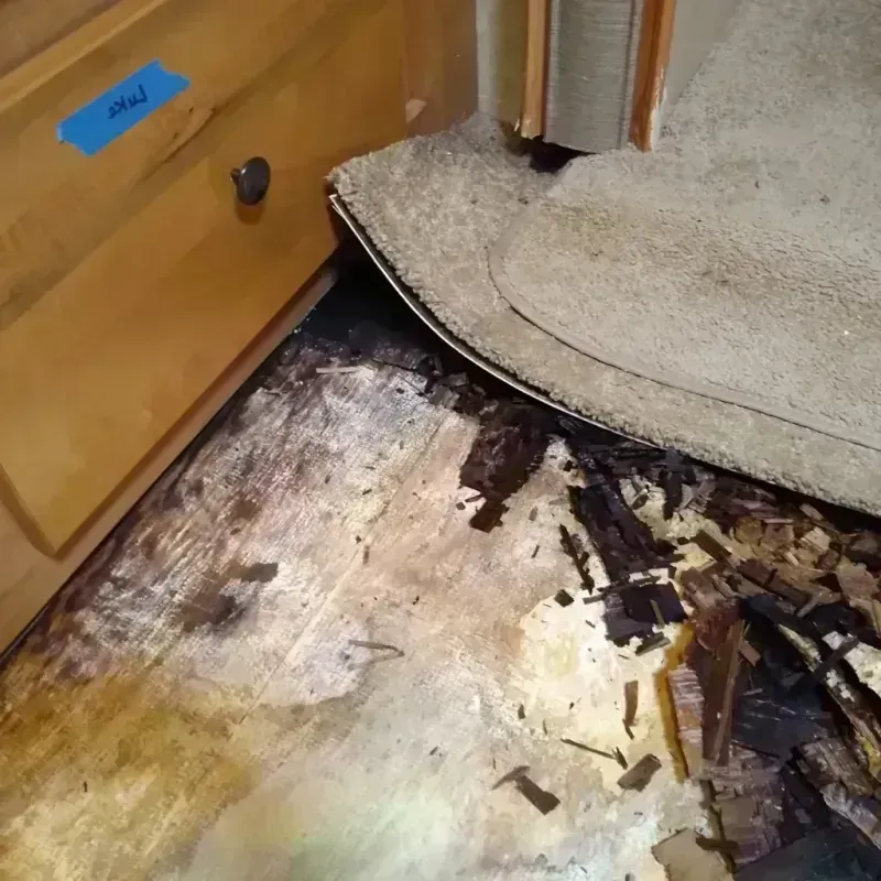 Best Wood Floor Water Damage Service in Crescent City, FL